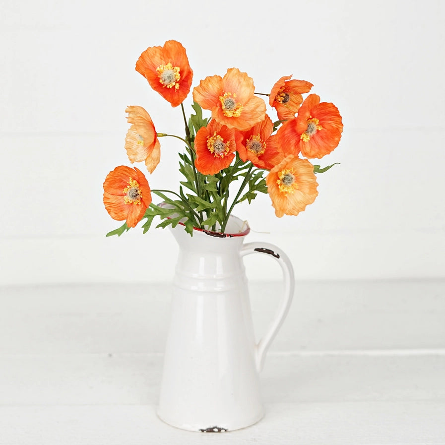 Orange Poppy