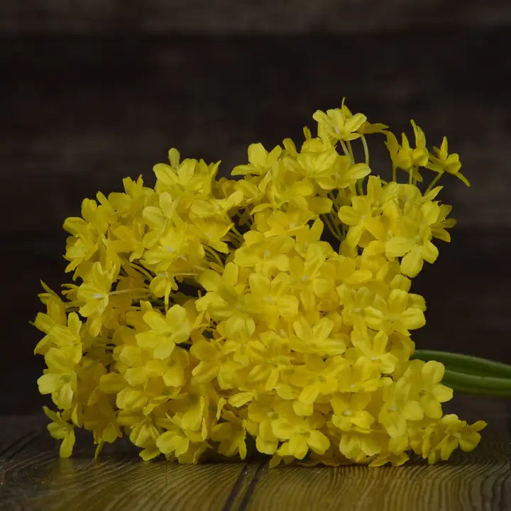Yellow Lilac